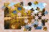 Autumn Pond Puzzle